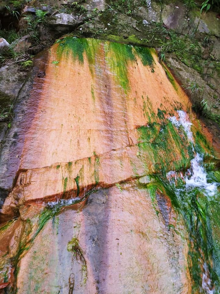 Alt 6