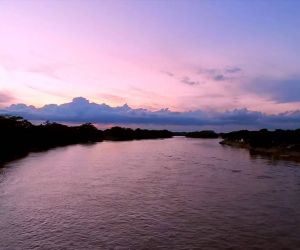 Arauca