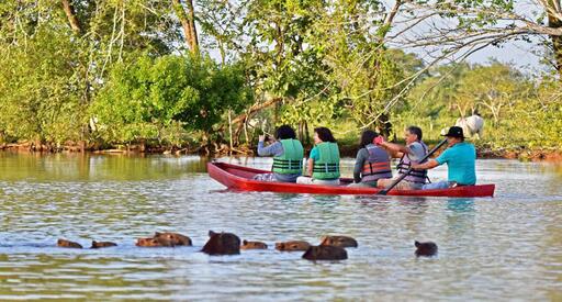 Safari Llanero – Hato Berlín