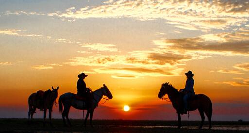 Travesía a Caballo por el Corazón de Casanare