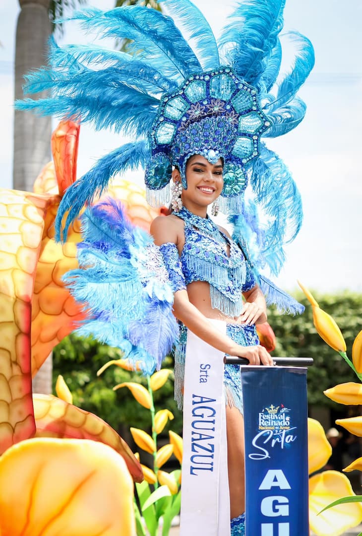 Festival y Reinado Nacional del Arroz