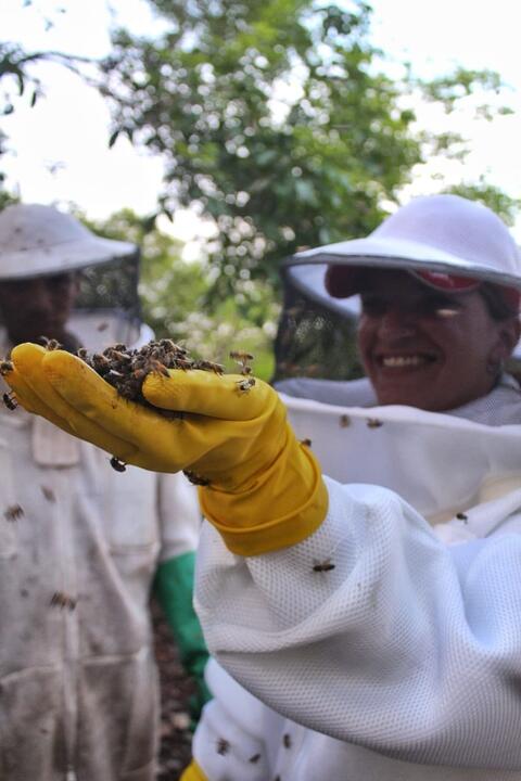 Apicultor por un día
