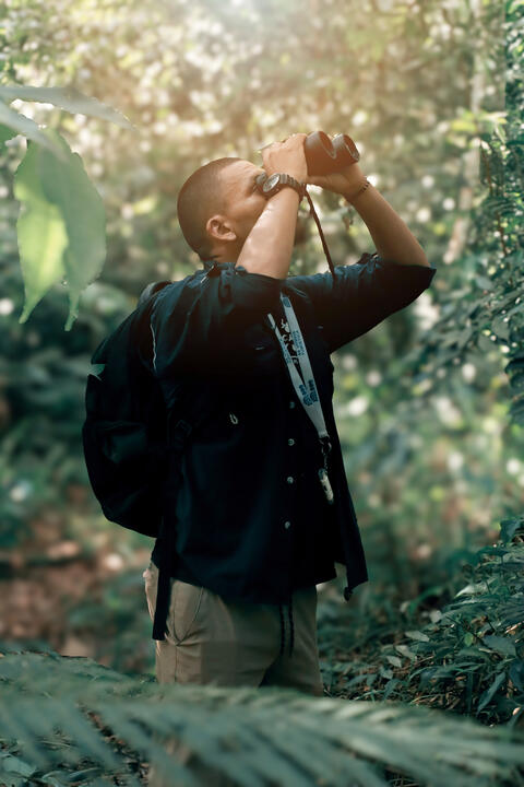 Avistamiento de Aves