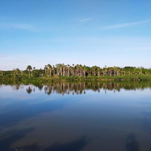 Juegos Tradicionales