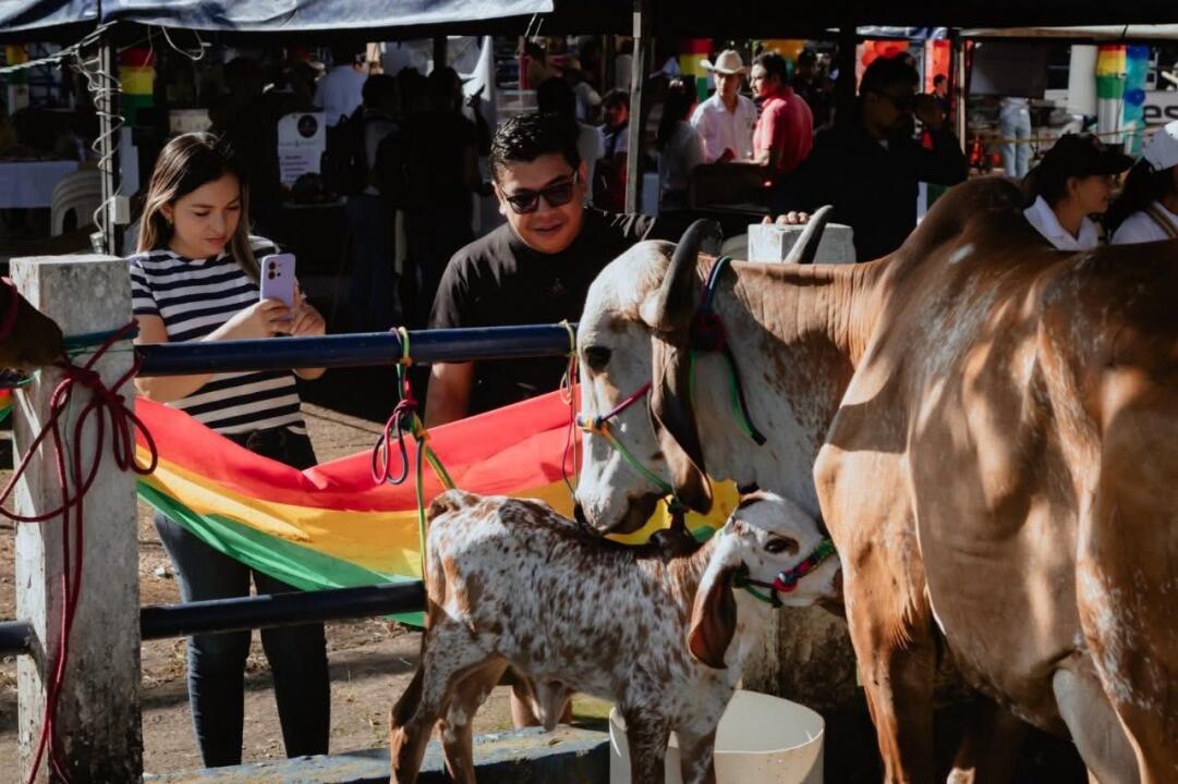 Feria Ganadera Comercial Doble Propósito de Yopal