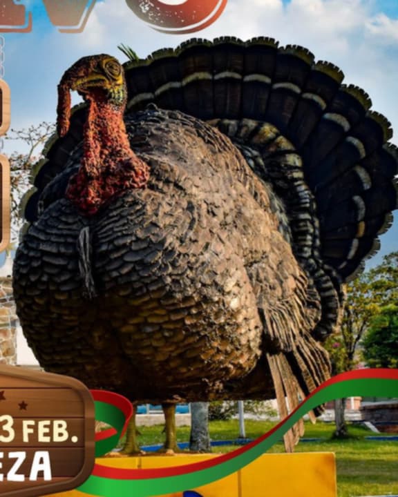 Festival Folclórico y Cultural El Pavo