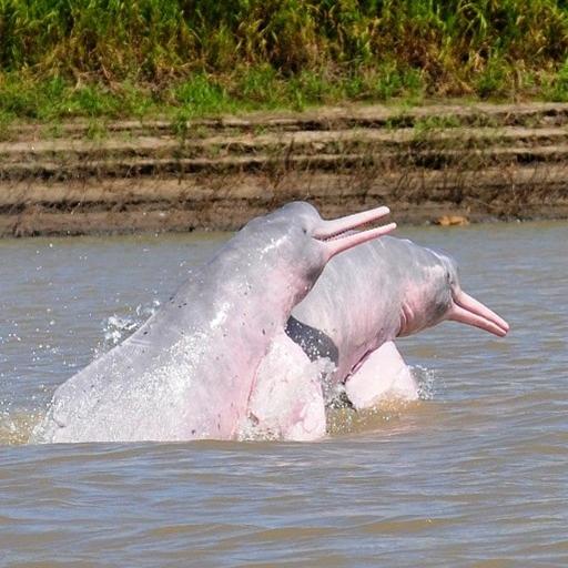 Experiencia Río Meta
