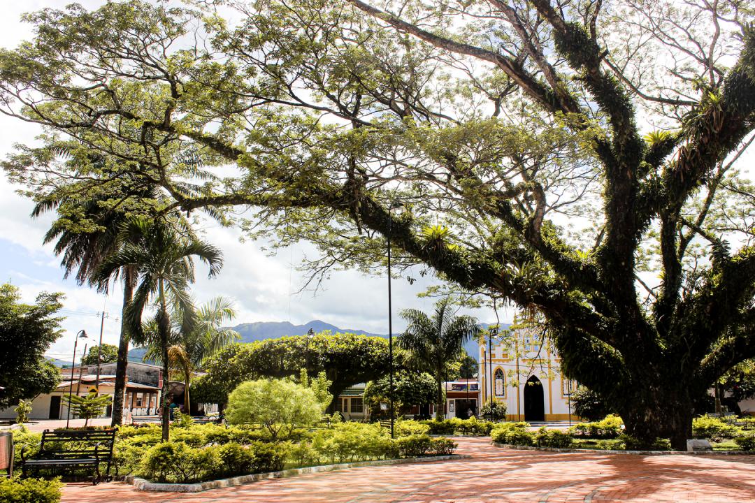 RParque Principal El Samán