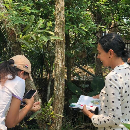 Orquídeas de Piedemonte