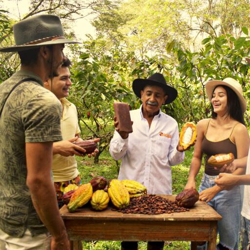 Casa del chocolate XOCASA