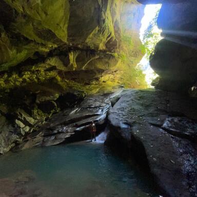 Cueva de los Guácharos