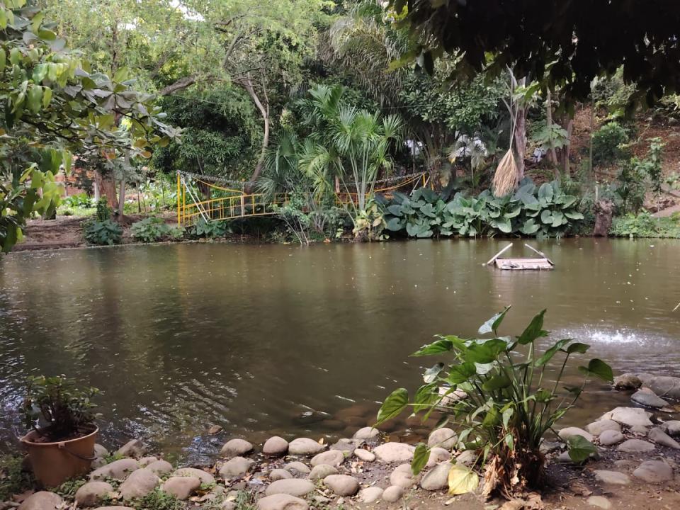 Reserva natural leche miel